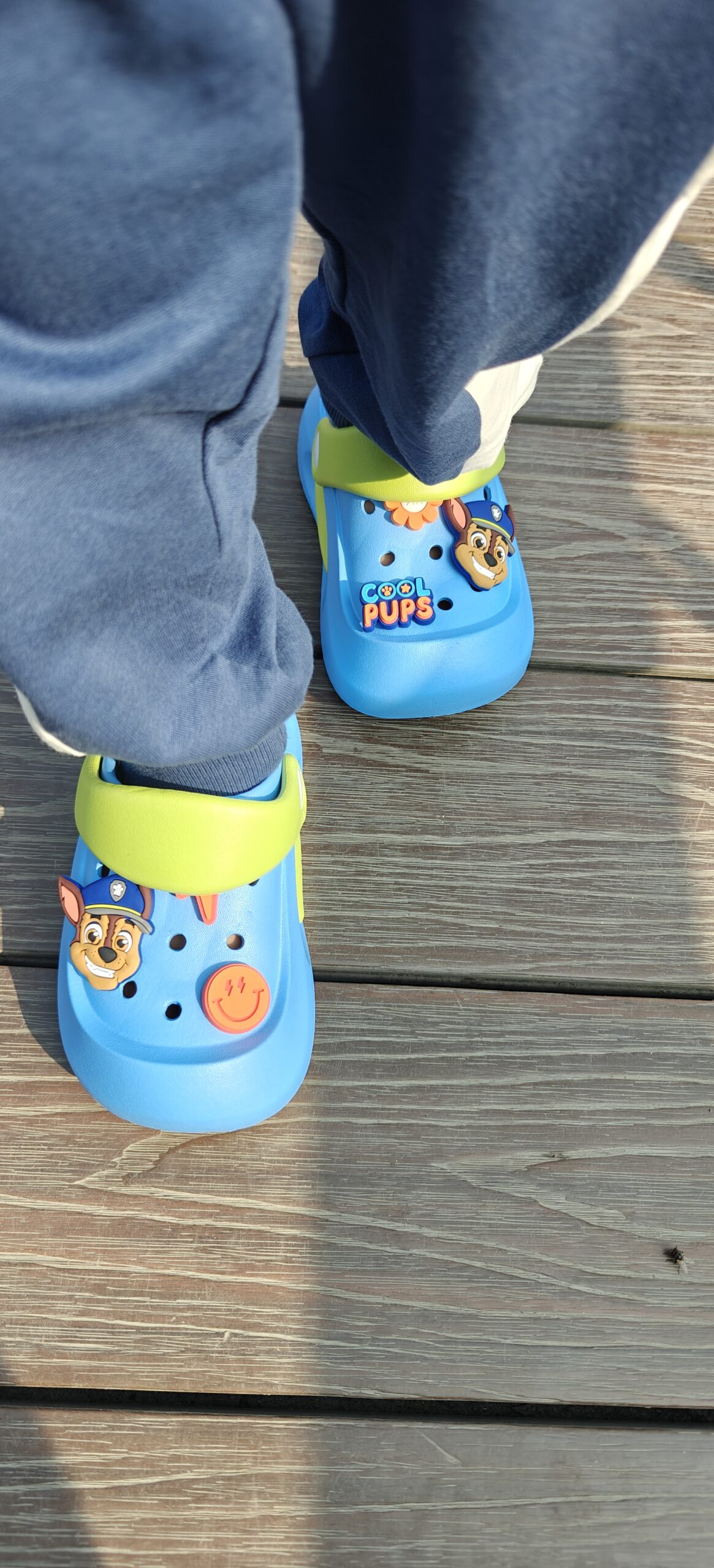 cool pups (blue) cool pups (blue)