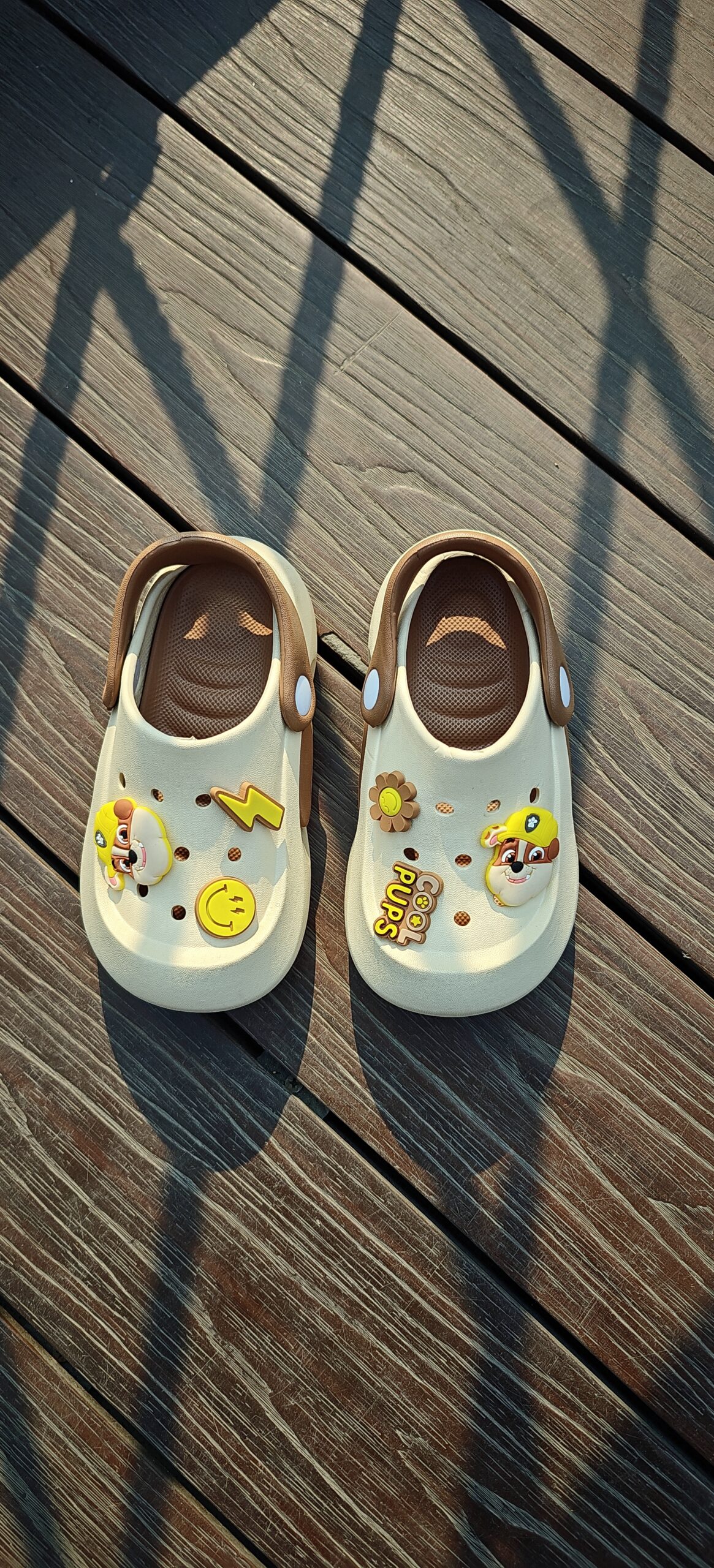 cool pups (brown) cool pups (brown)